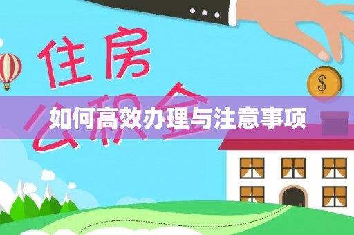 濠江如何高效办理与注意事项