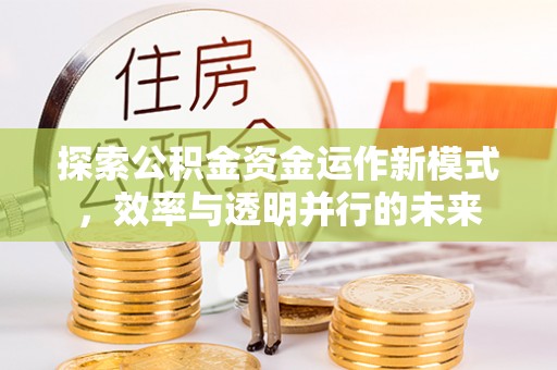 濠江探索公积金资金运作新模式，效率与透明并行的未来
