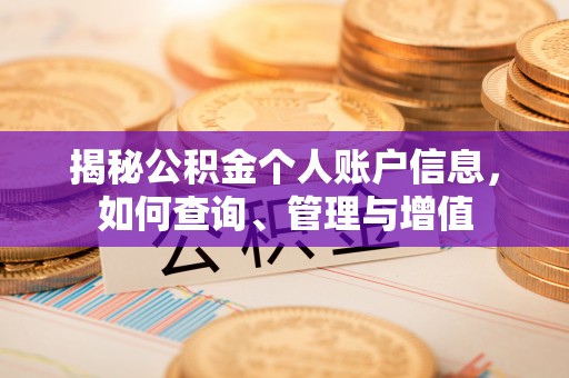 濠江揭秘公积金个人账户信息，如何查询、管理与增值