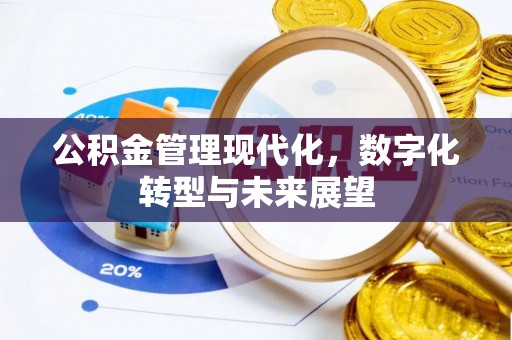 濠江公积金管理现代化，数字化转型与未来展望