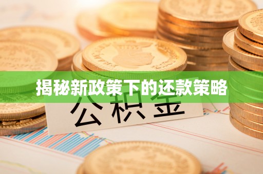 濠江揭秘新政策下的还款策略