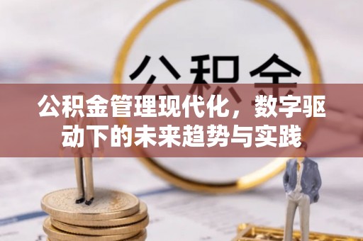 濠江公积金管理现代化，数字驱动下的未来趋势与实践