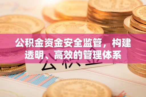 濠江公积金资金安全监管，构建透明、高效的管理体系