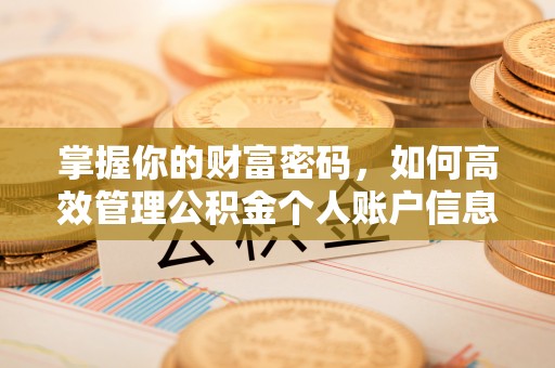 濠江掌握你的财富密码，如何高效管理公积金个人账户信息