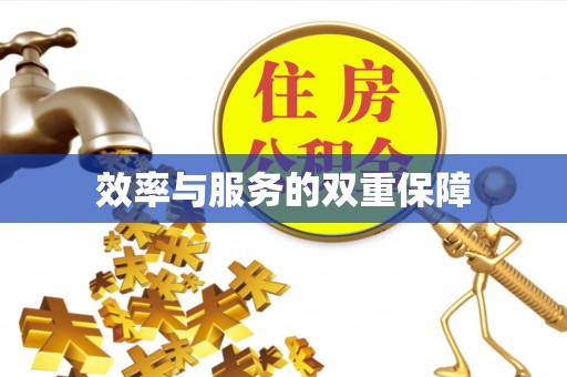 濠江效率与服务的双重保障