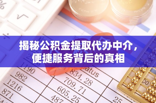 濠江揭秘公积金提取代办中介，便捷服务背后的真相