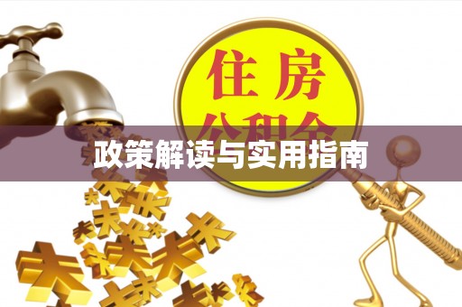 濠江政策解读与实用指南