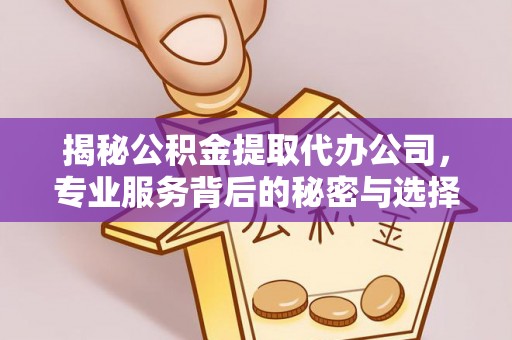 濠江揭秘公积金提取代办公司，专业服务背后的秘密与选择指南