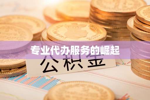 濠江专业代办服务的崛起