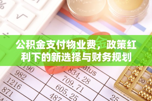 濠江公积金支付物业费，政策红利下的新选择与财务规划