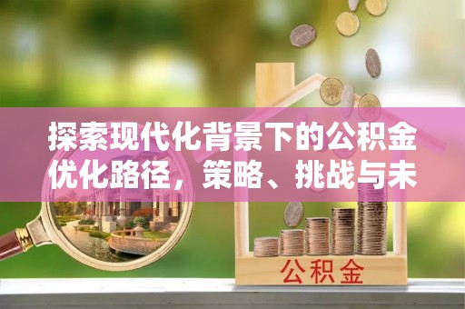濠江探索现代化背景下的公积金优化路径，策略、挑战与未来展望