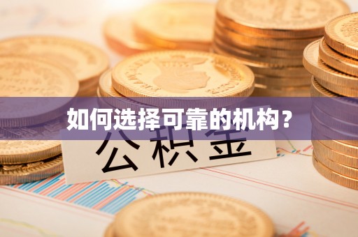 濠江如何选择可靠的机构？