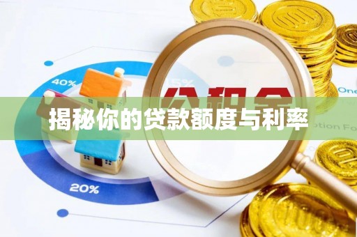 濠江揭秘你的贷款额度与利率