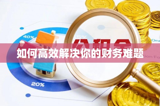 濠江如何高效解决你的财务难题