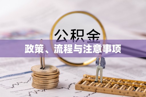 濠江政策、流程与注意事项