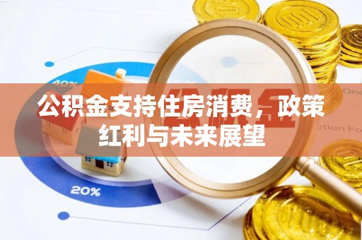 濠江公积金支持住房消费，政策红利与未来展望