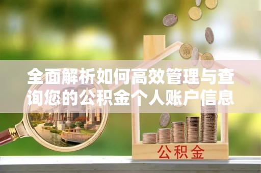 濠江全面解析如何高效管理与查询您的公积金个人账户信息