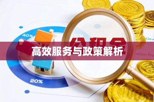 濠江高效服务与政策解析