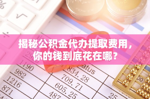 濠江揭秘公积金代办提取费用，你的钱到底花在哪？