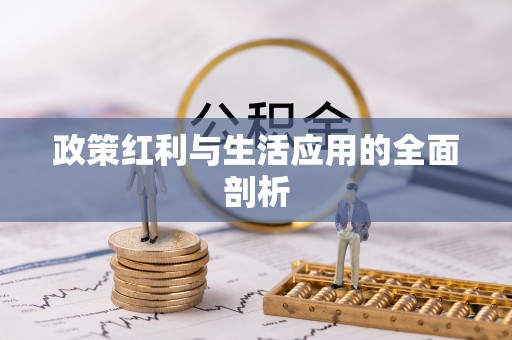 濠江政策红利与生活应用的全面剖析