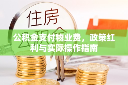 濠江公积金支付物业费，政策红利与实际操作指南