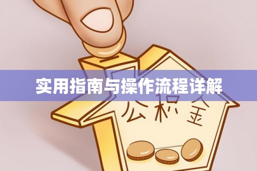 濠江实用指南与操作流程详解