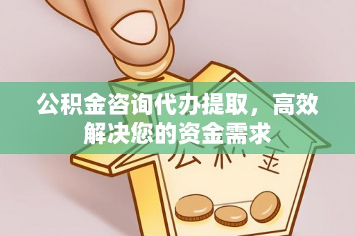 濠江公积金咨询代办提取，高效解决您的资金需求