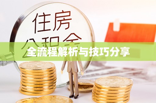 濠江全流程解析与技巧分享