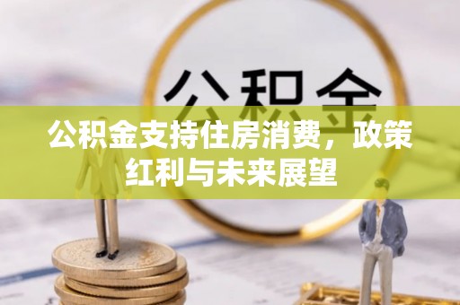 濠江公积金支持住房消费，政策红利与未来展望