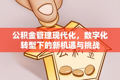 濠江公积金管理现代化，数字化转型下的新机遇与挑战