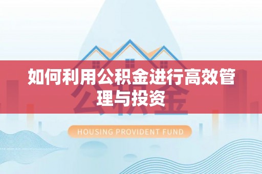 濠江如何利用公积金进行高效管理与投资