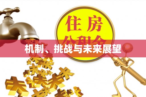 濠江机制、挑战与未来展望