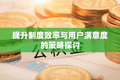 濠江提升制度效率与用户满意度的策略探讨