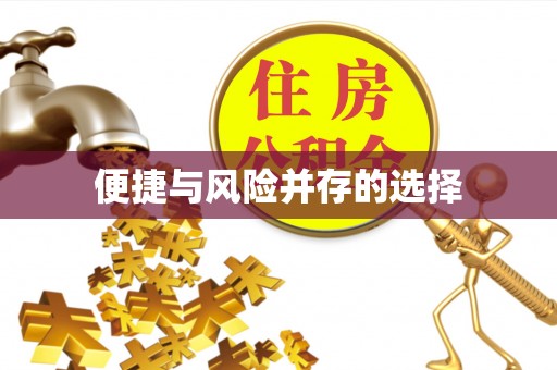 濠江便捷与风险并存的选择