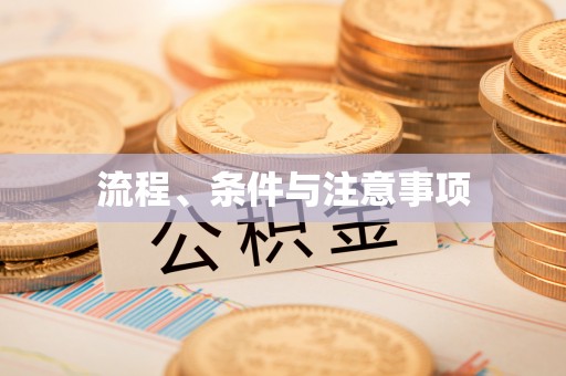 濠江流程、条件与注意事项